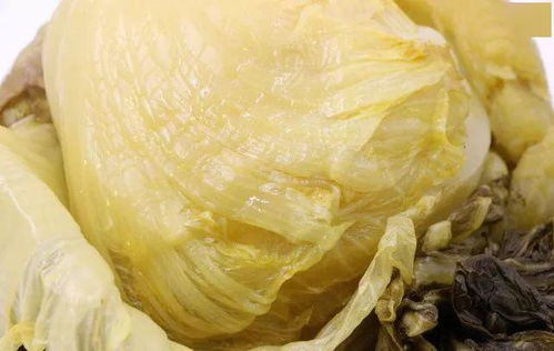 鹽之妙手 揭秘網紅拉面靈魂，酸香麻辣背后的腌制密碼